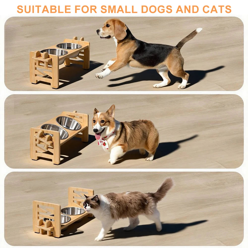 Elevated Small Toy Dog Cat Bowls