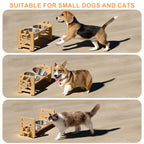 Elevated Small Toy Dog Cat Bowls