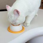 Dog/cat licking bowl